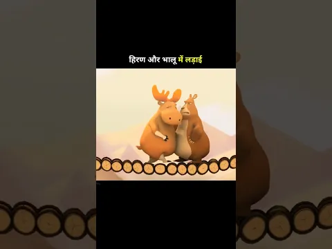 fight between bear and deer