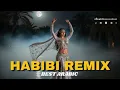 Best Arabic Party Remix 2025 – Habibi Yalla Yalla Dance Vibes