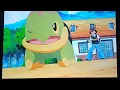 Ash s Turtwig Evolves into Grotle