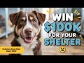100K Dogs Rule Grant PEDIGREE Foundation 2025 Tips