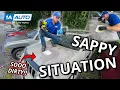 Tree Sweat Pitch and Sap All Over Your Car or Truck Finding Out the Best Cleaner to Remove It