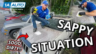 Tree Sweat Pitch and Sap All Over Your Car or Truck Finding Out the Best Cleaner to Remove It