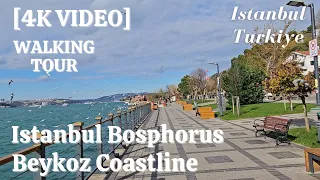 Download Istanbul Beykoz 4K Walking Tour by the Bosphorus Coast [4K Video] MP3