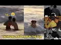 Download Lagu Jimin was fixing Taehyung shorts and trying to pull V’s😭his reaction😂 The ad parallels these films