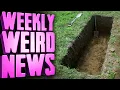 Download Lagu The World Cup of Grave Digging - Weekly Weird News