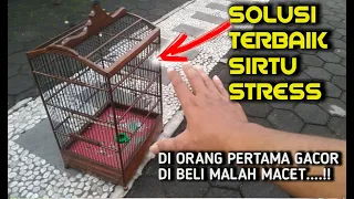 Download Solusi sirtu stres macet bunyi, di orang pertama gacor parah sampai di rumah malah macet MP3