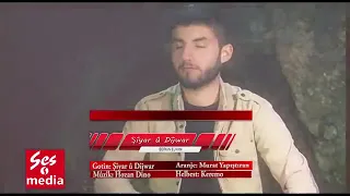 شيار دجوار روجا 11 اداري 