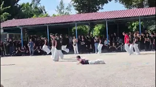                       دندنها