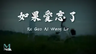 wang su long dan yi chun ru guo ai wang le lyrics pinyin 