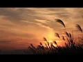 Bersenja Gurau - Raim Laode | 1 Jam (1 Hour)