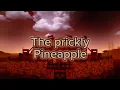 The prickly pineapple is a 8-14 meta circle base