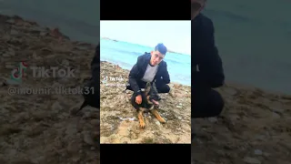 اعمل كلب صاحب ولا تعمل صاحب يطلع كلب                                                      دندنها