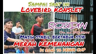 Download ROSIDIN LOVEBIRD KONSLET OM ISAN FADJRIAN MASIH TETAP STABIL BERTABUR STIK MERAH KEMENANGAN MP3