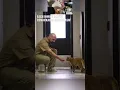 Prisoners With Cats