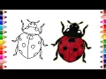 How to draw ladybug - Drawing of ladybug