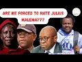 Download Lagu Wordt Julius Malema vrijgesproken in zijn zaak Mkhwanazi? | Zijn de Adhoc-commissies bindend?