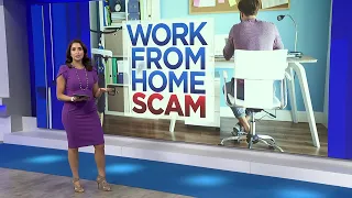 Want to work from home Spot the scams first