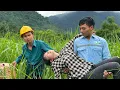 Download Lagu Poor girl abandoned by her husband, luckily got help from two kind guys #lifesingle