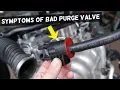 SYMPTOMS OF BAD PURGE VALVE HOW TO KNOW PURGE VALVE IS BAD