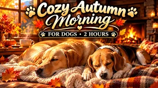 🍁 Cozy Autumn Morning for Dogs 🐾 | 2 Hours of Relaxing Music & Cozy Fall Ambience