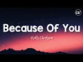 Download Lagu Kelly Clarkson - Because Of You [Lyrics]