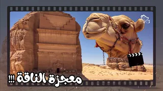 قصص الانبياء معجزة الناقة التي خرجت من الصخرة بأمر الله قصة صالح عليه السلام وقوم ثمود 