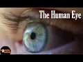 Download Lagu Human Eye