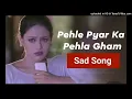 Pehle Pyar Ka Pehla Gham | Jugal Hansraj | Mayuri Kango | Kavita Krishnamurthy | Papa Kehte Hain|