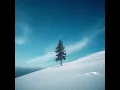 My Heart Finds Wings