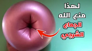 شاهد لماذا حرم الله الجماع من فتحة الشرج  شاهد لماذا حرم الله الجماع من فتحة الشرج