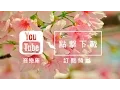 Download Lagu Audio Library 音樂庫 免費背景音樂下載 歌名: Spring In My Step 作者: Silent Partner