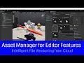 Unity Asset Manager Features - File Updating in AM for Editor
