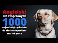 Angielski dla zmeczonych - 1000 najwazniejszych slow do sluchania podczas snu i pracy nauka jezyka