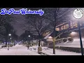 A Night Tour of DePaul University In the Snow Lincoln Park Chicago 4K Walking Tour