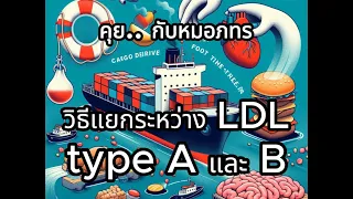  วิธีแยกประเภท LDL แบบ A กับ B ดูจากค่าอะไรบ้าง 
