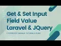 JQuery - How To Get And Set Input Field Value In JQuery with source code