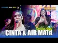 Lagu CINTA \u0026 AIR MATA - FANESHA ANGGI _ DIVARINA MUSIC LIVE PERFORMANCE TANGGULANGIN - SULTAN AUDIO