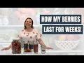 Download Lagu How My Berries Last for Weeks | Strawberries, Raspberries, Blackberries \u0026 Blueberries