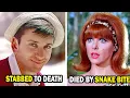 11 Beloved Gilligan s Island Actors Who Tragically Passed Away
