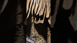 1,220 ft underground