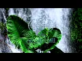 Autoregulation Mood Music - Autogenic Training Specialists