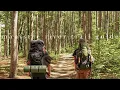 ULTIMATE GUIDE TO BACKPACKING THE MANISTEE RIVER TRAIL Backpacking in Northern Michigan on the MRT