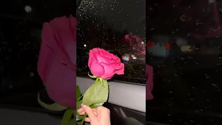 لما سار المركب نساني لايك اشتراك 