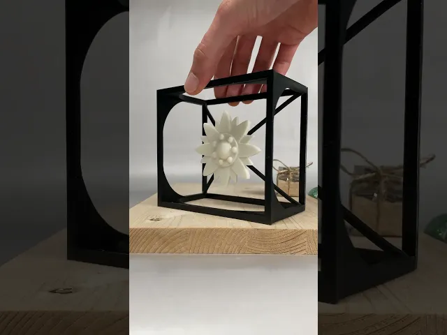 🌼  Edelweiss Cube - Floating Edelweiss Design - Alpine Elegance 🌼- Pre-supported video thumbnail