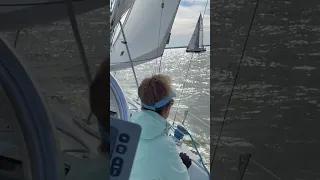 2024 Peanut Regatta No. 1 #shorts