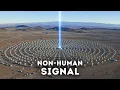 They Are Building Something Unbelievable in Nevada