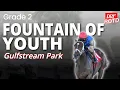 G2 Fountain of Youth Analysis DRF Saturday ROTD