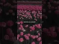 Download Lagu me gustas tu - manu chao (lyrics)🌷 | aesthetic | Whatsapp status | spanish song