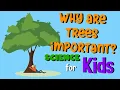 Why are Trees Important Science for Kids