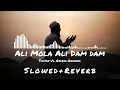 Lagu Ali Mola Ali Dam Dam - (Slowed+Reverb) Sultan Ul Qadria Qawwal